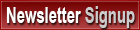 Season Car Hire Newsletter